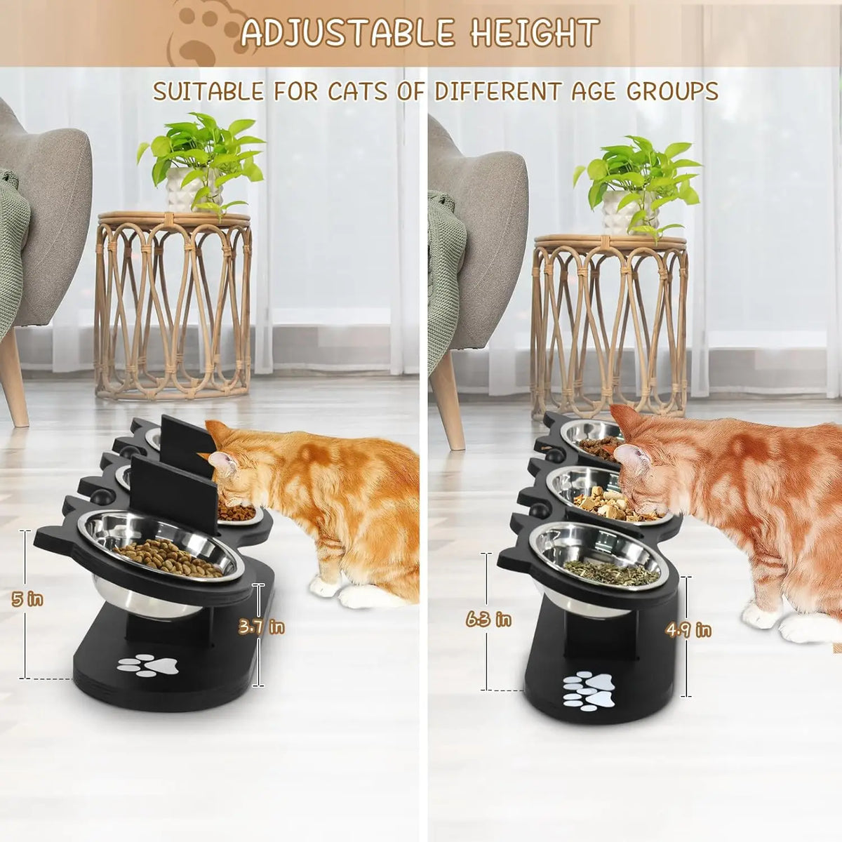 Elevated Cat Bowls with Adjustable Wooden Stand and Tilted Dishes