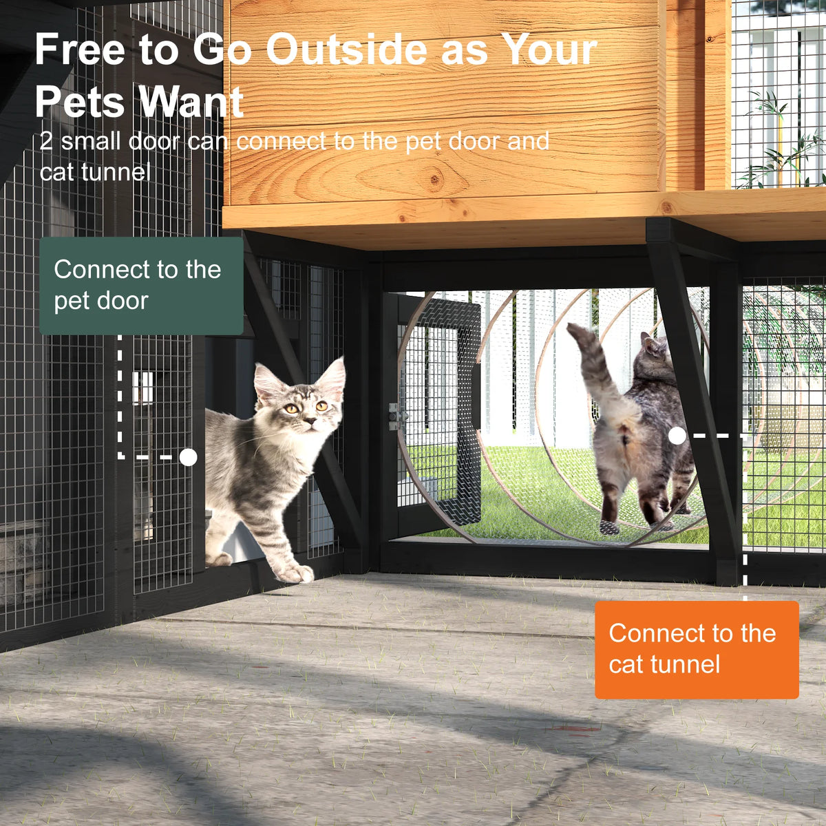 Outdoor Walk In Cat Enclosure With Waterproof Cover And Platforms