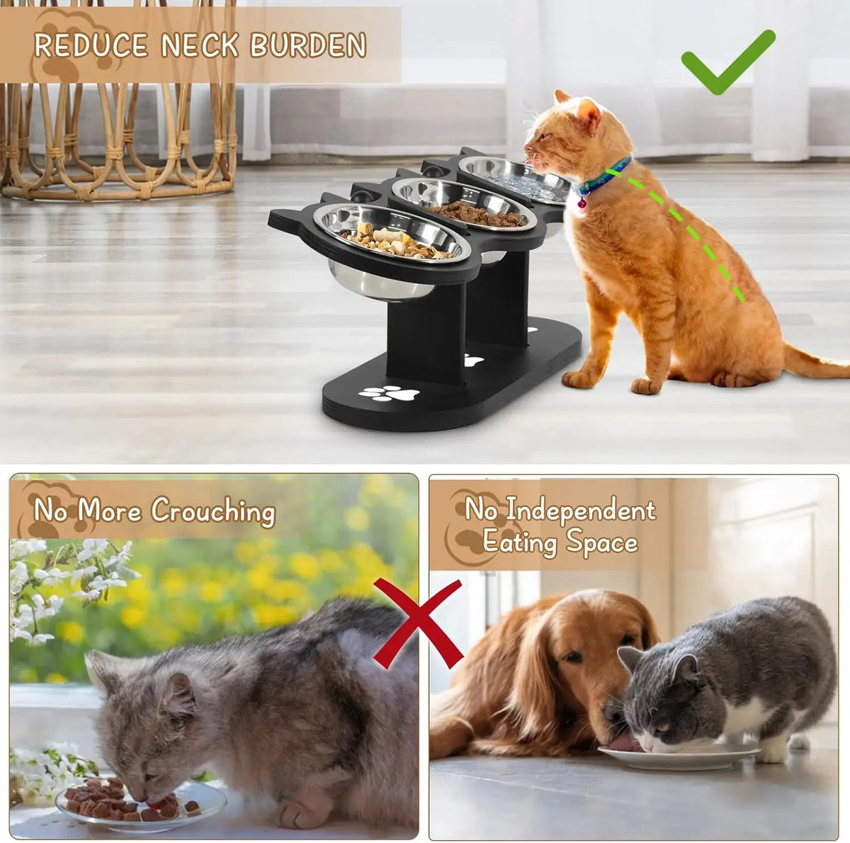 Elevated Cat Bowls with Adjustable Wooden Stand and Tilted Dishes