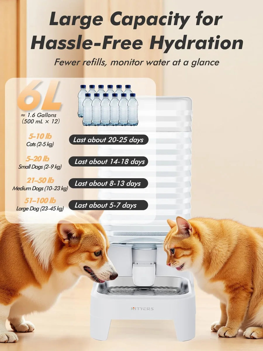 NITYERS Gravity Fed Stainless Steel Pet Water Dispenser